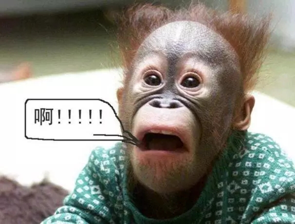 10.webp.jpg