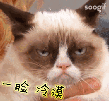 4.gif